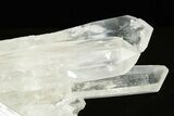 Clear Quartz Crystal Cluster - Colombia #368471-1